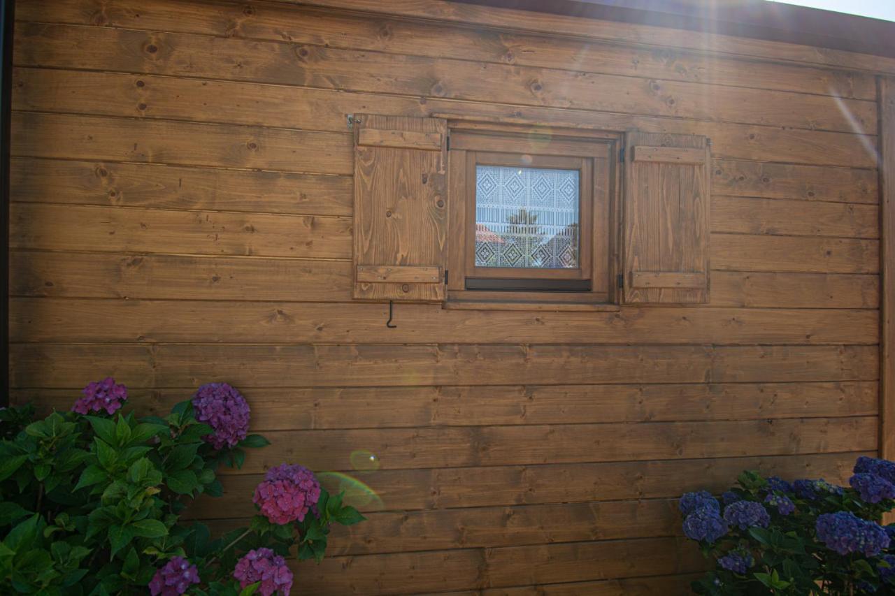 Ferienwohnung Pocitniska Hiska Skedenj Deskle Exterior foto